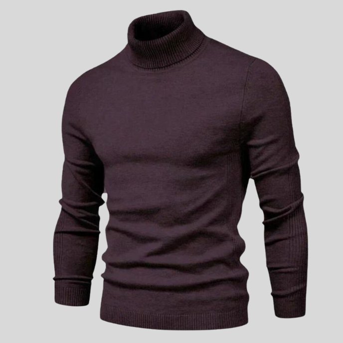 Jonas | Stylish Turtleneck Sweater - MORI